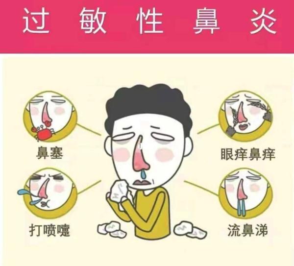 回郑州后过敏性鼻炎好像犯了，免疫力的问题吧